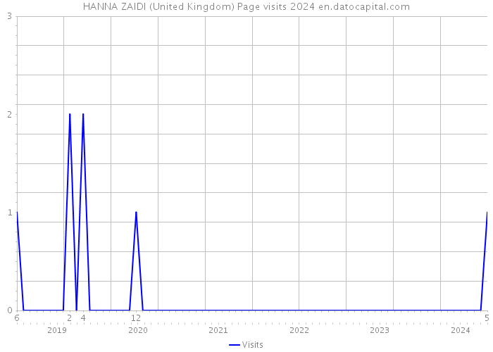HANNA ZAIDI (United Kingdom) Page visits 2024 