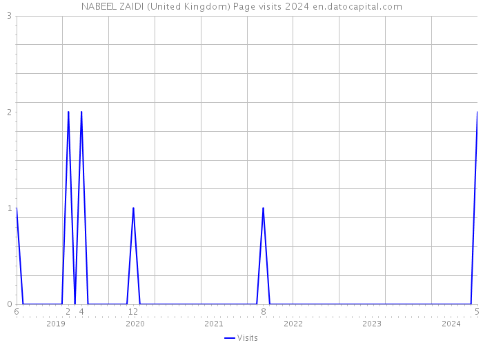 NABEEL ZAIDI (United Kingdom) Page visits 2024 