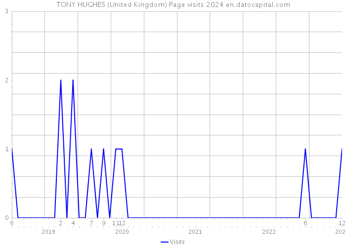 TONY HUGHES (United Kingdom) Page visits 2024 