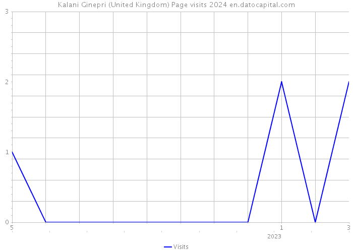 Kalani Ginepri (United Kingdom) Page visits 2024 