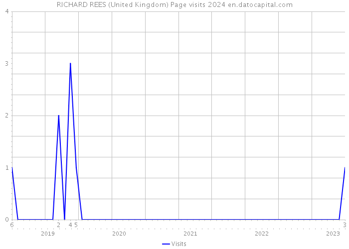 RICHARD REES (United Kingdom) Page visits 2024 