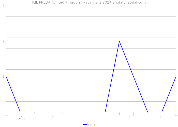 ILIE PREDA (United Kingdom) Page visits 2024 