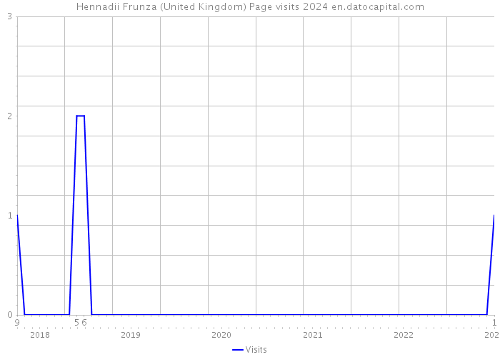 Hennadii Frunza (United Kingdom) Page visits 2024 