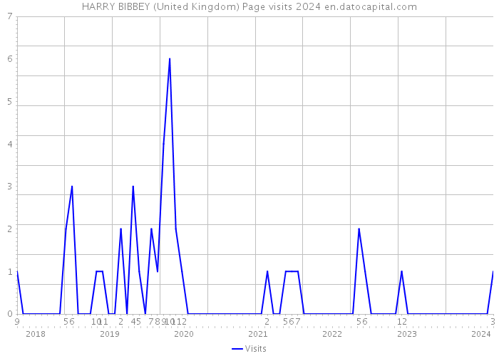 HARRY BIBBEY (United Kingdom) Page visits 2024 