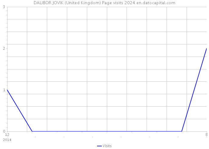 DALIBOR JOVIK (United Kingdom) Page visits 2024 