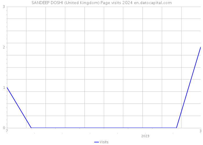 SANDEEP DOSHI (United Kingdom) Page visits 2024 