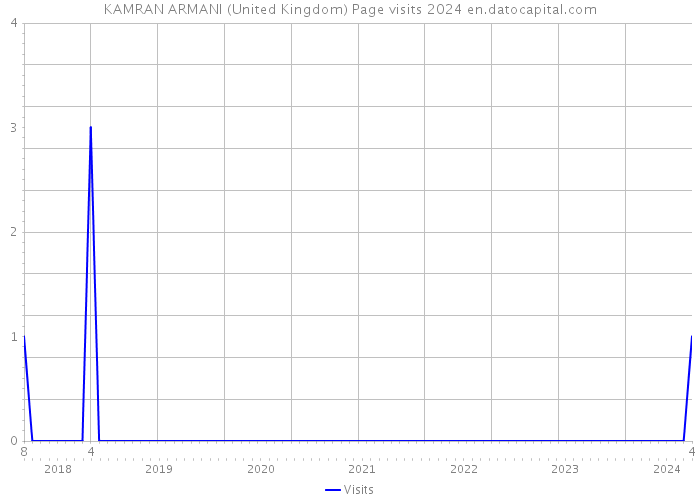 KAMRAN ARMANI (United Kingdom) Page visits 2024 
