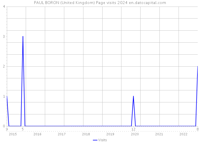 PAUL BORON (United Kingdom) Page visits 2024 