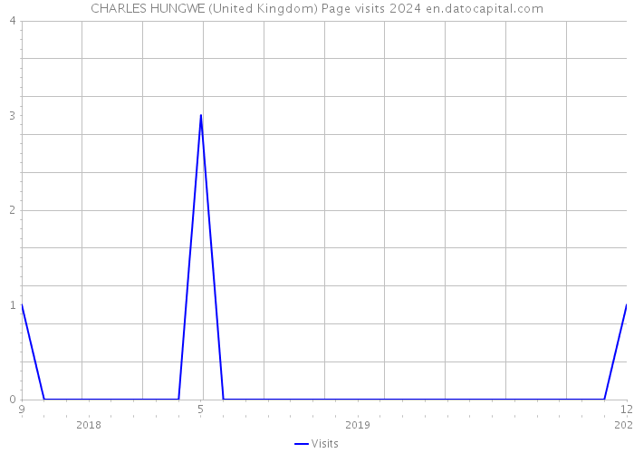 CHARLES HUNGWE (United Kingdom) Page visits 2024 