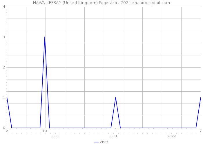 HAWA KEBBAY (United Kingdom) Page visits 2024 
