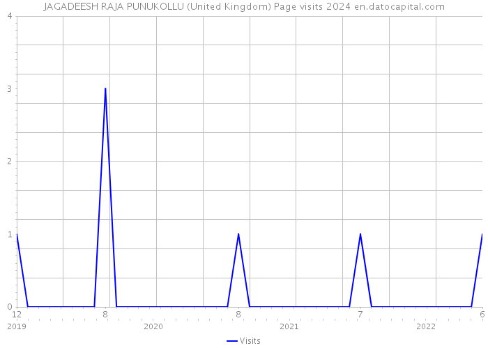 JAGADEESH RAJA PUNUKOLLU (United Kingdom) Page visits 2024 