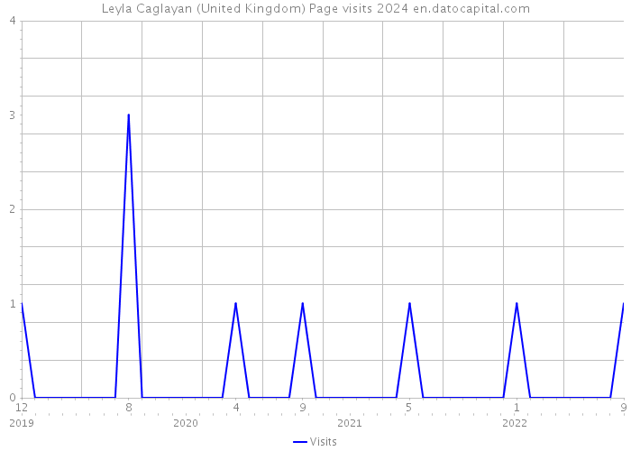 Leyla Caglayan (United Kingdom) Page visits 2024 