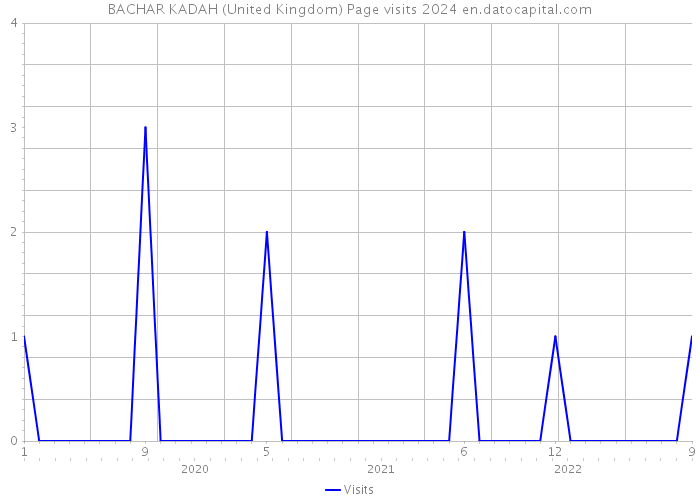 BACHAR KADAH (United Kingdom) Page visits 2024 