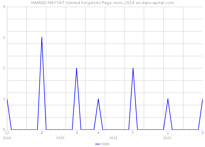 HAMAD HAYYAT (United Kingdom) Page visits 2024 