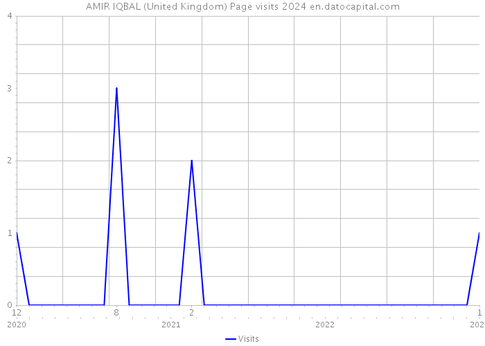 AMIR IQBAL (United Kingdom) Page visits 2024 