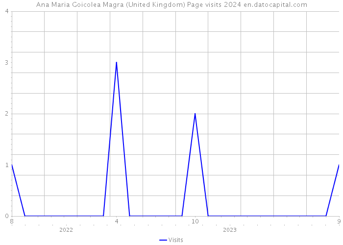 Ana Maria Goicolea Magra (United Kingdom) Page visits 2024 