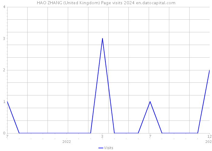 HAO ZHANG (United Kingdom) Page visits 2024 