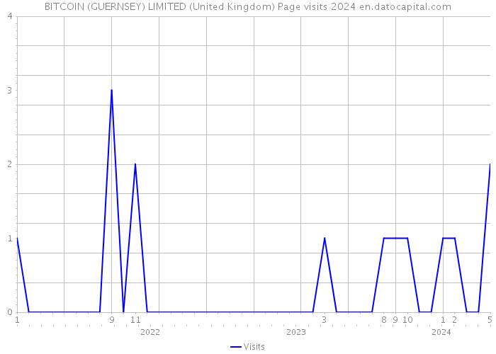 BITCOIN (GUERNSEY) LIMITED (United Kingdom) Page visits 2024 