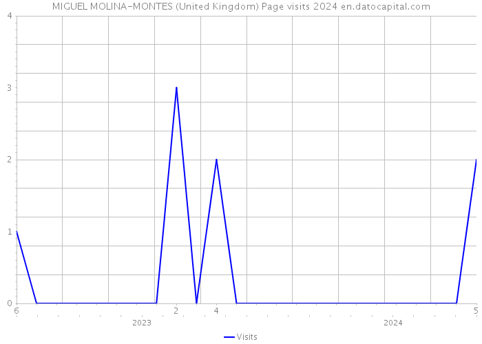 MIGUEL MOLINA-MONTES (United Kingdom) Page visits 2024 