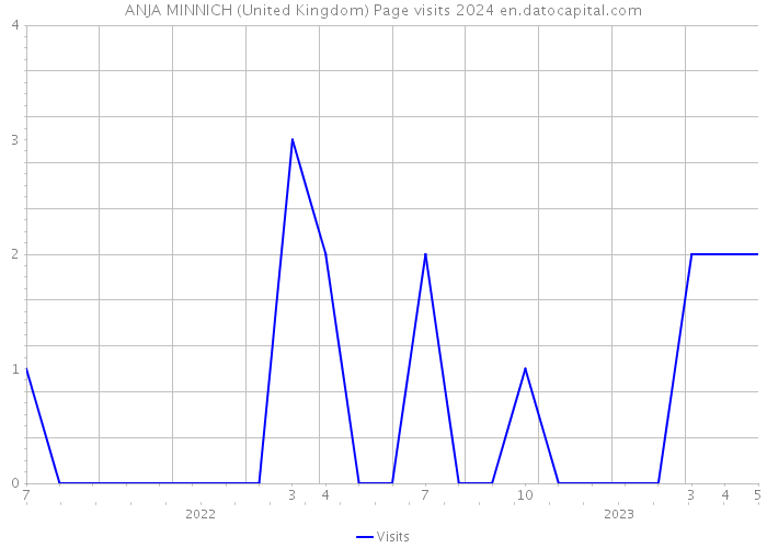 ANJA MINNICH (United Kingdom) Page visits 2024 