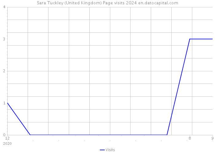 Sara Tuckley (United Kingdom) Page visits 2024 