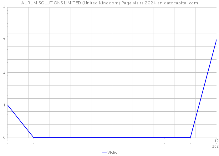 AURUM SOLUTIONS LIMITED (United Kingdom) Page visits 2024 