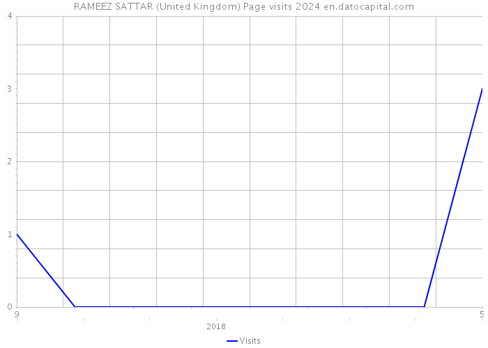 RAMEEZ SATTAR (United Kingdom) Page visits 2024 