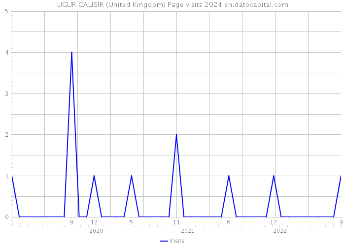 UGUR CALISIR (United Kingdom) Page visits 2024 