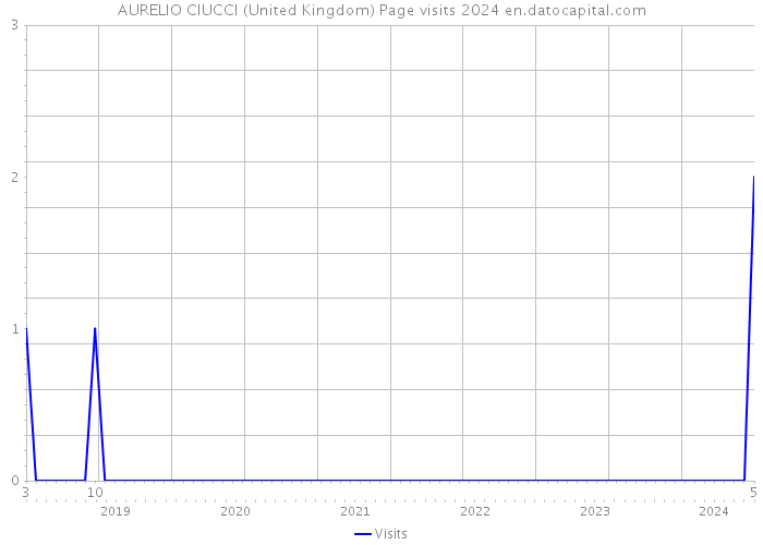 AURELIO CIUCCI (United Kingdom) Page visits 2024 