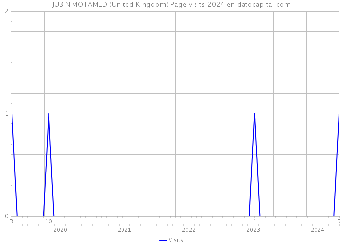 JUBIN MOTAMED (United Kingdom) Page visits 2024 