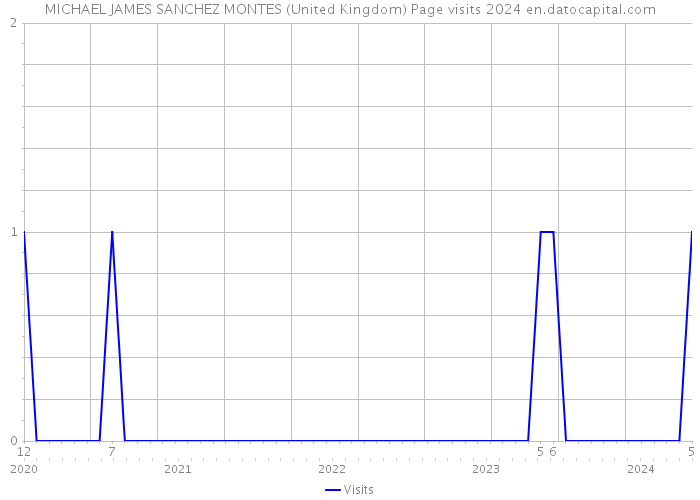 MICHAEL JAMES SANCHEZ MONTES (United Kingdom) Page visits 2024 