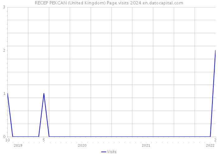 RECEP PEKCAN (United Kingdom) Page visits 2024 