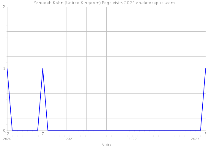 Yehudah Kohn (United Kingdom) Page visits 2024 