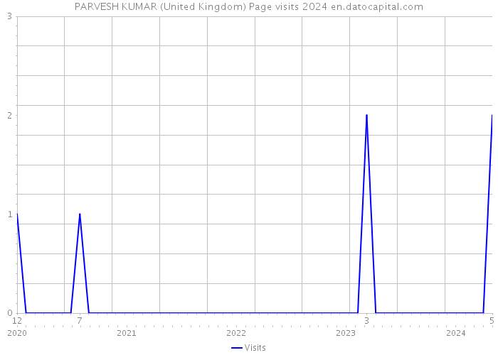 PARVESH KUMAR (United Kingdom) Page visits 2024 