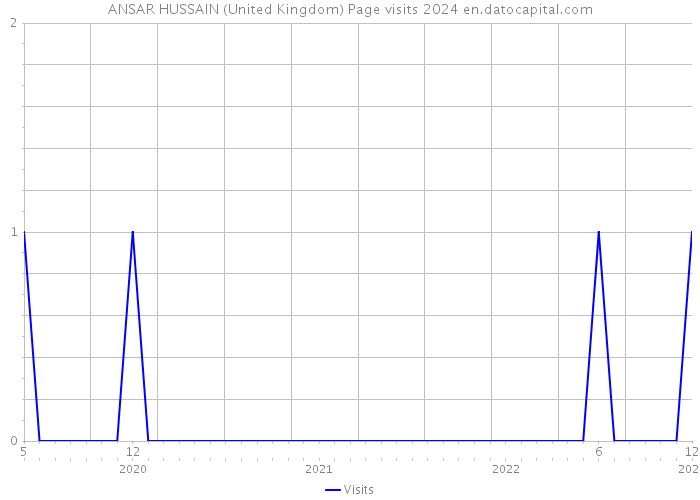 ANSAR HUSSAIN (United Kingdom) Page visits 2024 