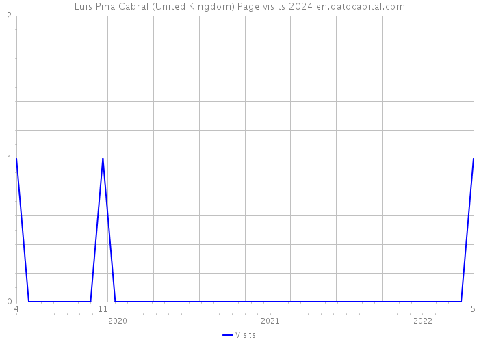 Luis Pina Cabral (United Kingdom) Page visits 2024 