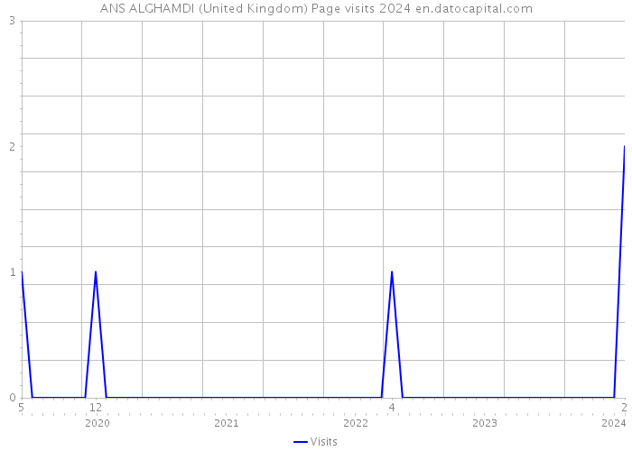 ANS ALGHAMDI (United Kingdom) Page visits 2024 