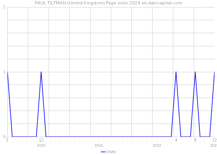 PAUL TILTMAN (United Kingdom) Page visits 2024 