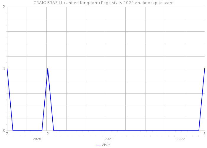 CRAIG BRAZILL (United Kingdom) Page visits 2024 