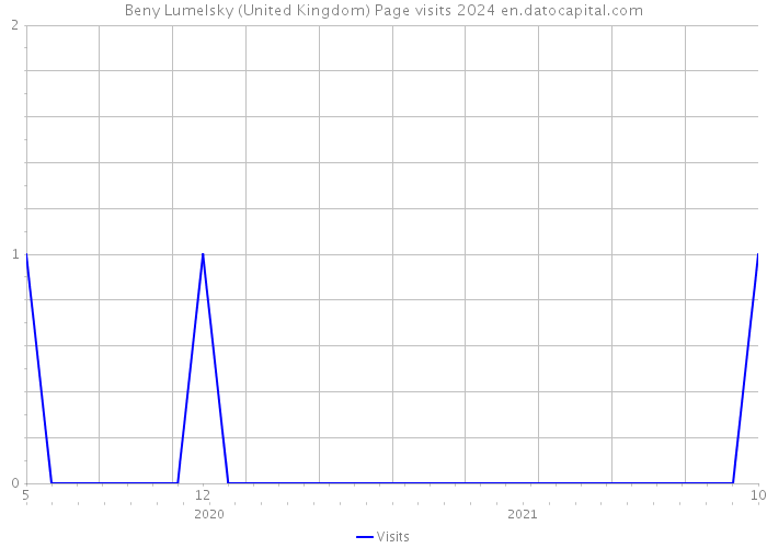 Beny Lumelsky (United Kingdom) Page visits 2024 