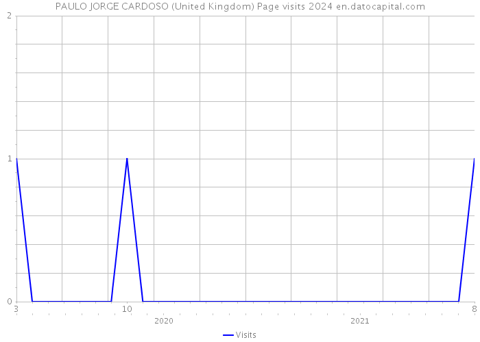 PAULO JORGE CARDOSO (United Kingdom) Page visits 2024 
