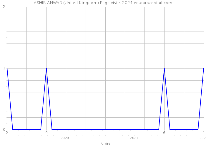 ASHIR ANWAR (United Kingdom) Page visits 2024 