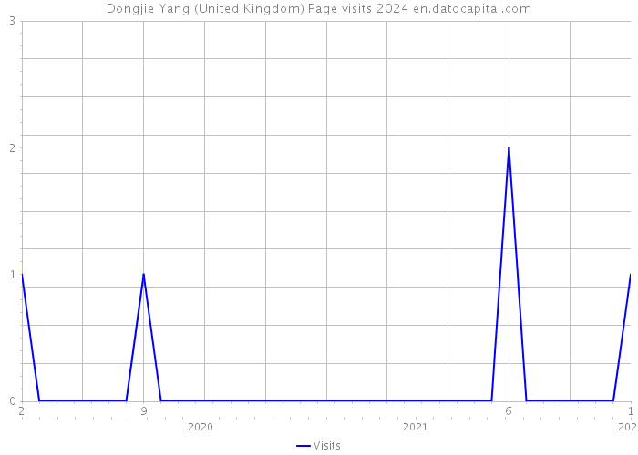 Dongjie Yang (United Kingdom) Page visits 2024 