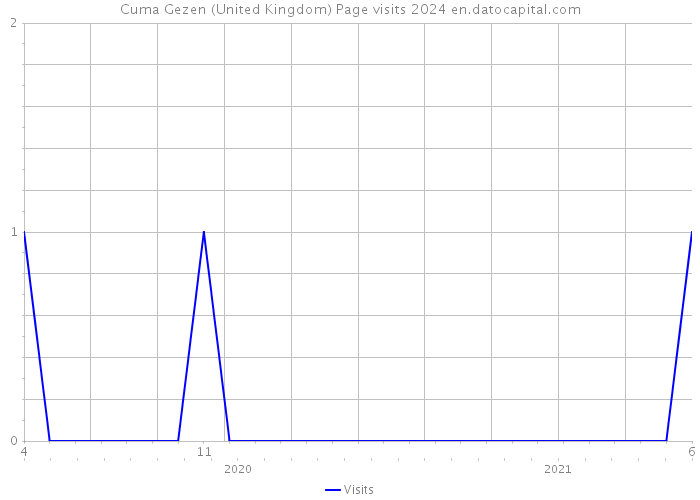 Cuma Gezen (United Kingdom) Page visits 2024 
