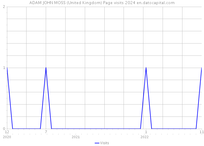 ADAM JOHN MOSS (United Kingdom) Page visits 2024 