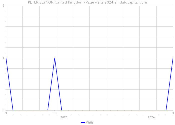 PETER BEYNON (United Kingdom) Page visits 2024 