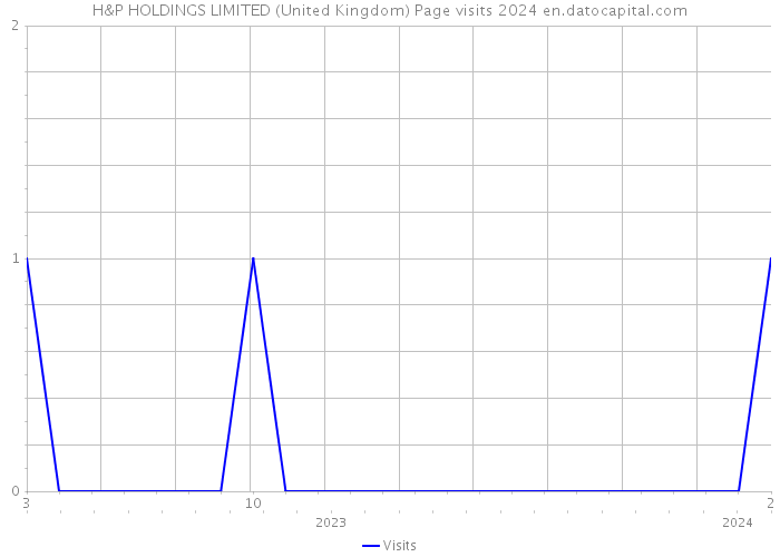 H&P HOLDINGS LIMITED (United Kingdom) Page visits 2024 