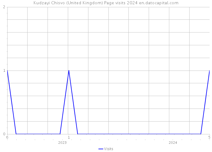 Kudzayi Chisvo (United Kingdom) Page visits 2024 