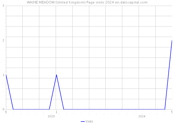 WAINE MEADOW (United Kingdom) Page visits 2024 
