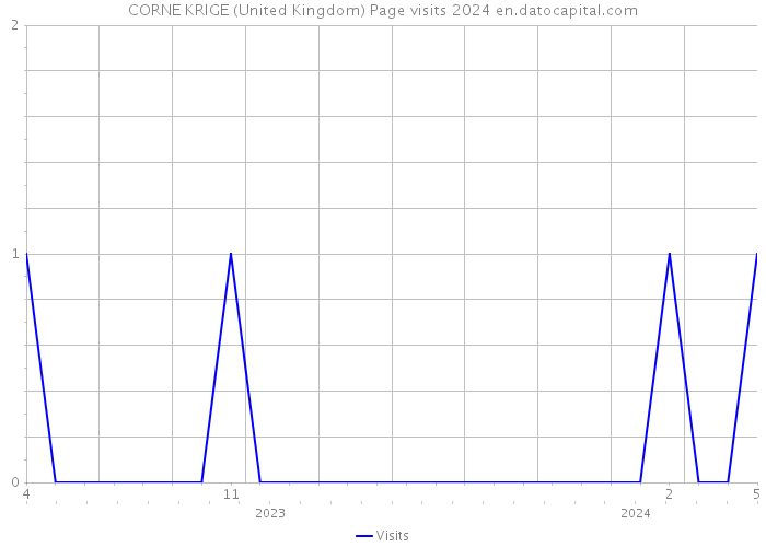 CORNE KRIGE (United Kingdom) Page visits 2024 